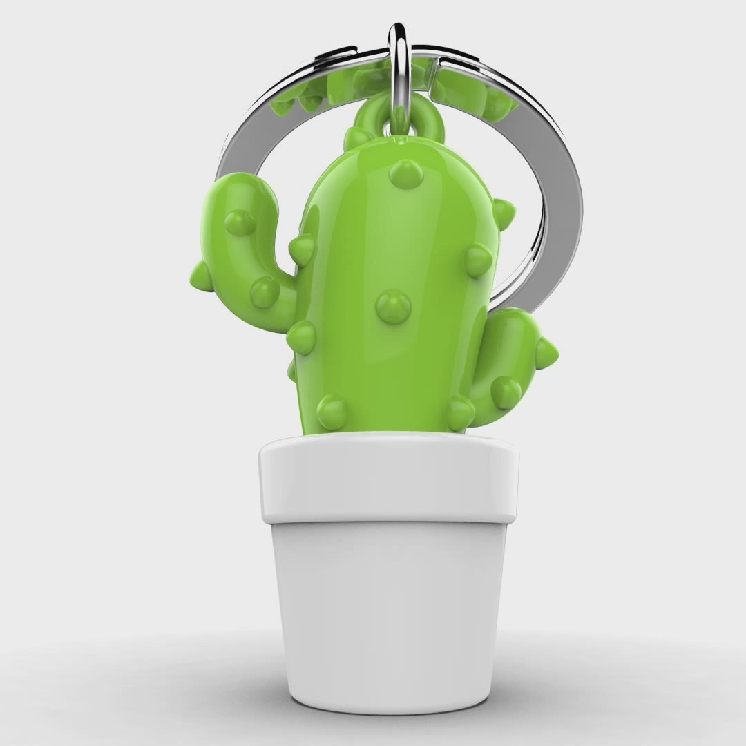 MTM104-01（サボテン） – メタモルフォーゼ